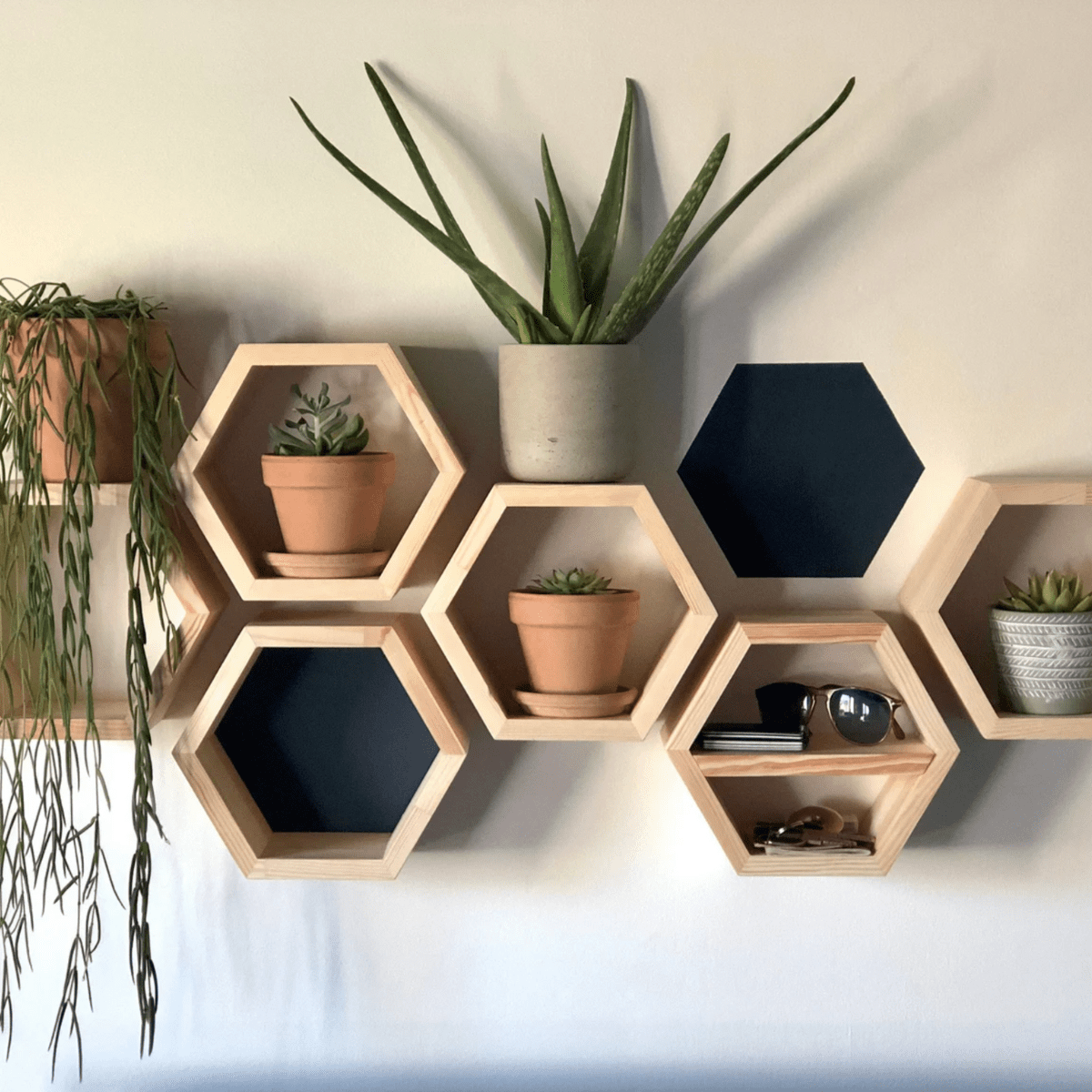 Hexagon set of 3/Large hexagon set of 3/Medium hexagon set/A unique eco wood gift